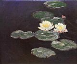 Claude Monet Nympheas Waterlilies painting